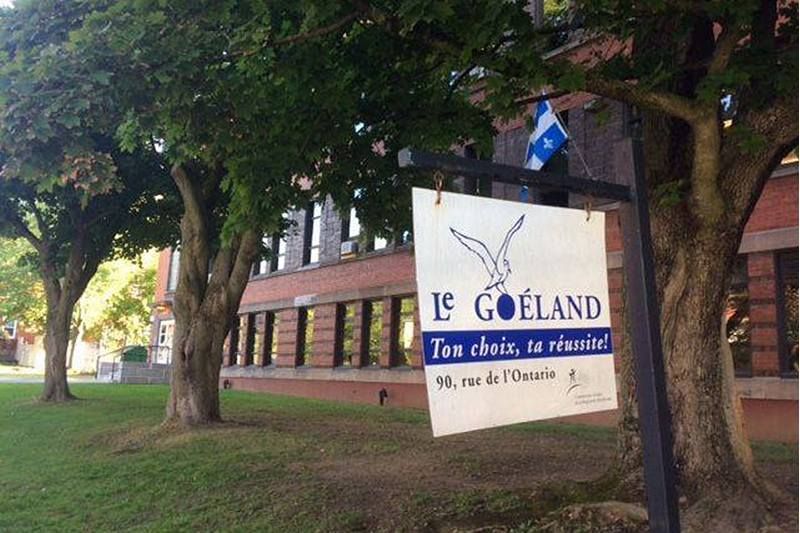 Cours d’été : Alloprof tend la main aux élèves de l’Estrie avec un guide de survie
